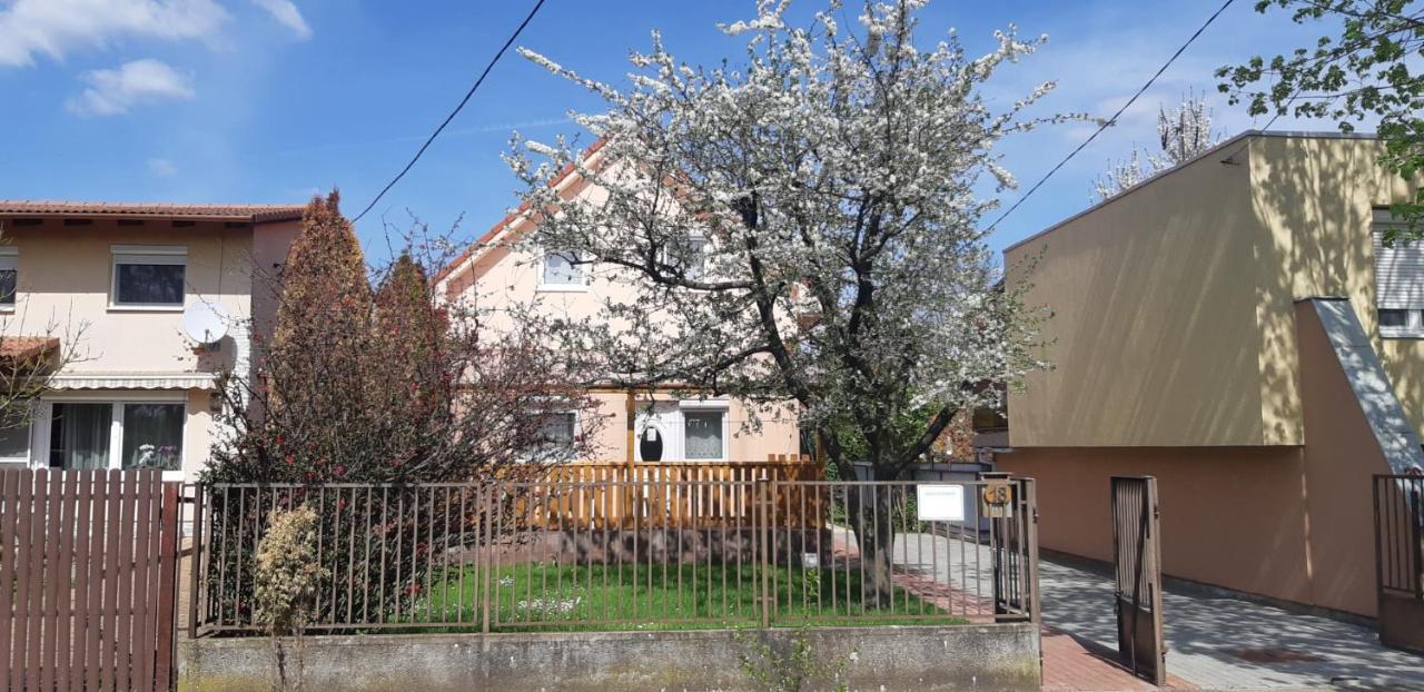 Rozsa Apartment Hajduszoboszlo Bagian luar foto